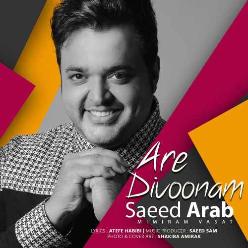 دانلود آهنگ جدید سعید عرب بنام آره دیوونم