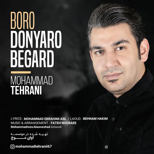 دانلود آهنگ جدید محمد تهرانی به نام برو دنیا رو بگرد
